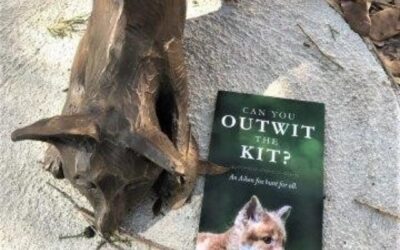 Can You Outwit The Kit?
